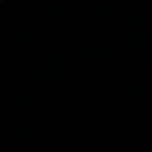 Meet your Posher, Landry